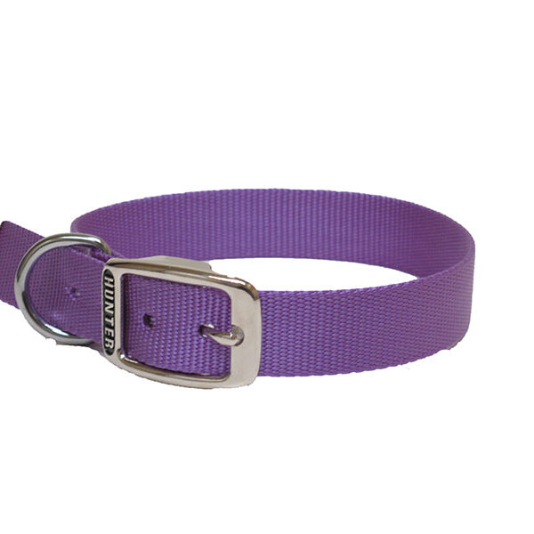 Hunter - Collier simple Nylon - Chien | 1" x 22"