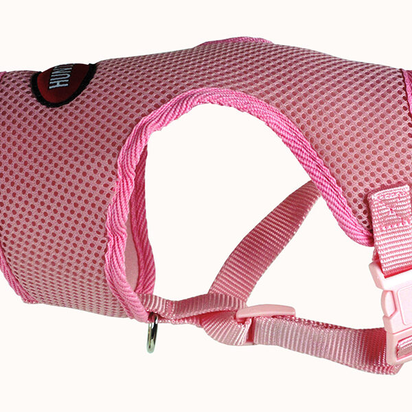 Hunter - Harnais confort en Nylon | Chien - 3 en 1