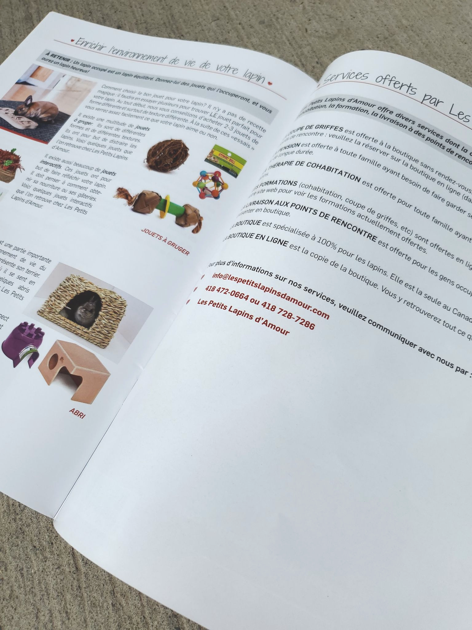 Les petits lapins d'amour - Guide du nouvel adoptant – Image 3