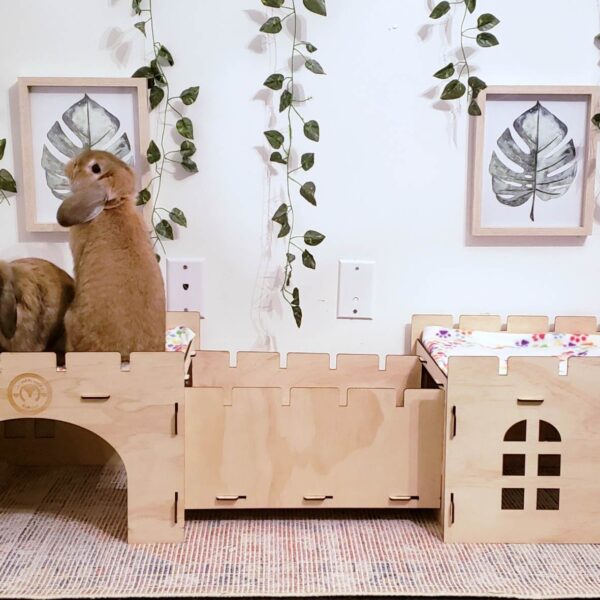 Les petits lapins d'amour - Le Château