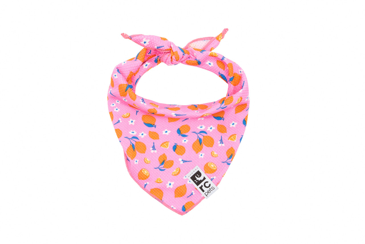 Rc Pets - Bandana rafraîchissant Zephyr – Image 7