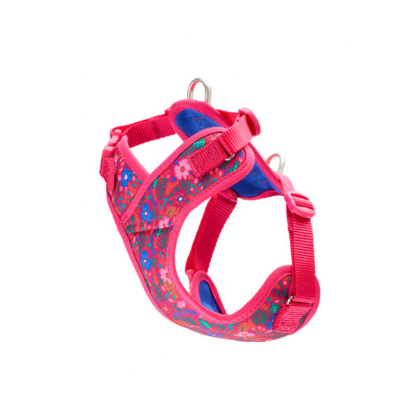 Rc Pets - Petite harnais explorateur | Chiens miniatures et chiots