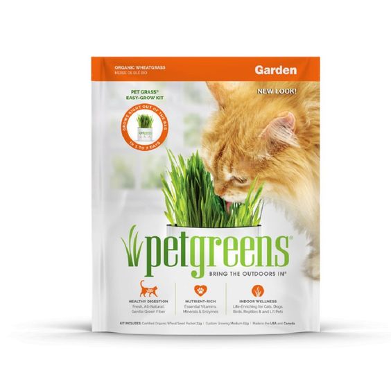 Pet Greens - Herbe à chat à faire pousser | 58g