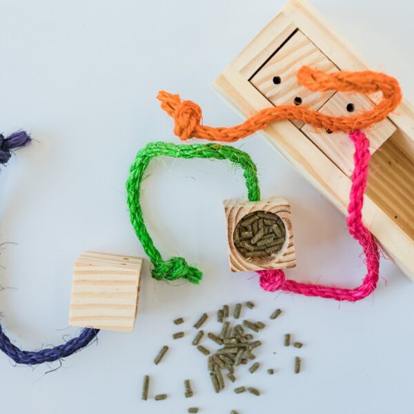 Les petits lapins d'amour - Jeu interactif pour petits animaux | Casse-tête