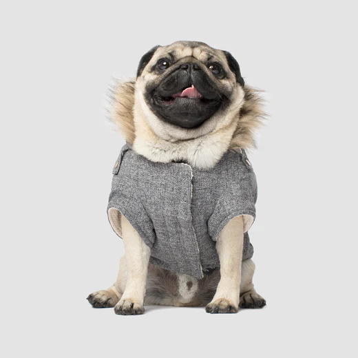 Canada Pooch - Veste d'hiver résistante à l'eau - Army Parka pour chien | Gris – Image 3