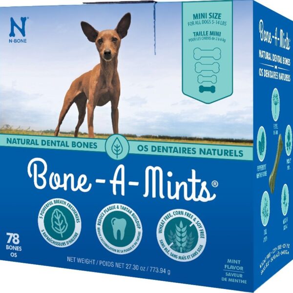 Bone a mints - Os dentaires naturels