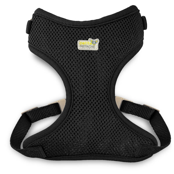 Petite Pisatche - Harnais