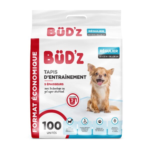 Bud'z Tapis D'entraînement