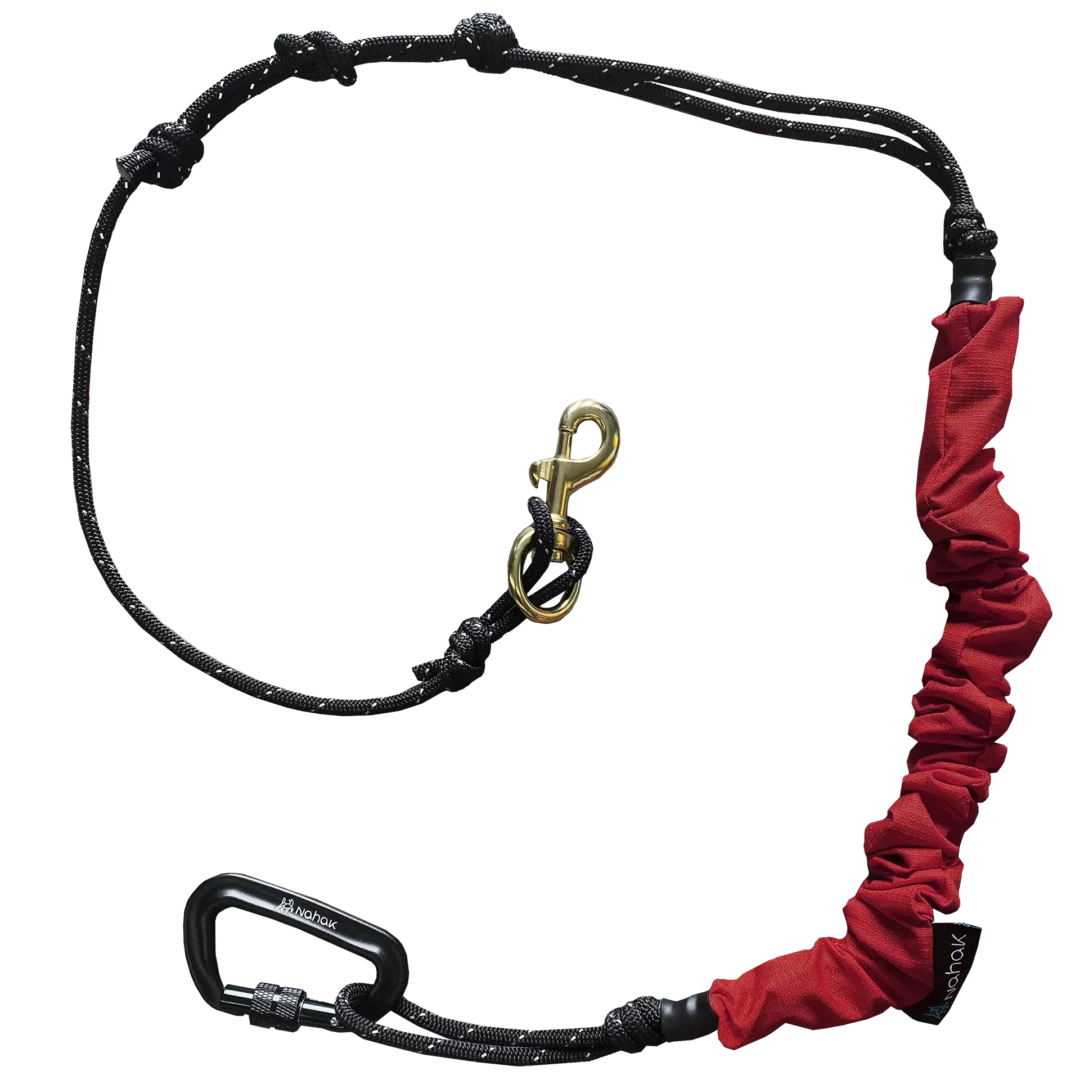 Nahak - Ligne bungee multisport | Corde réfléchissante - Mousqueton 5/8" – Image 3