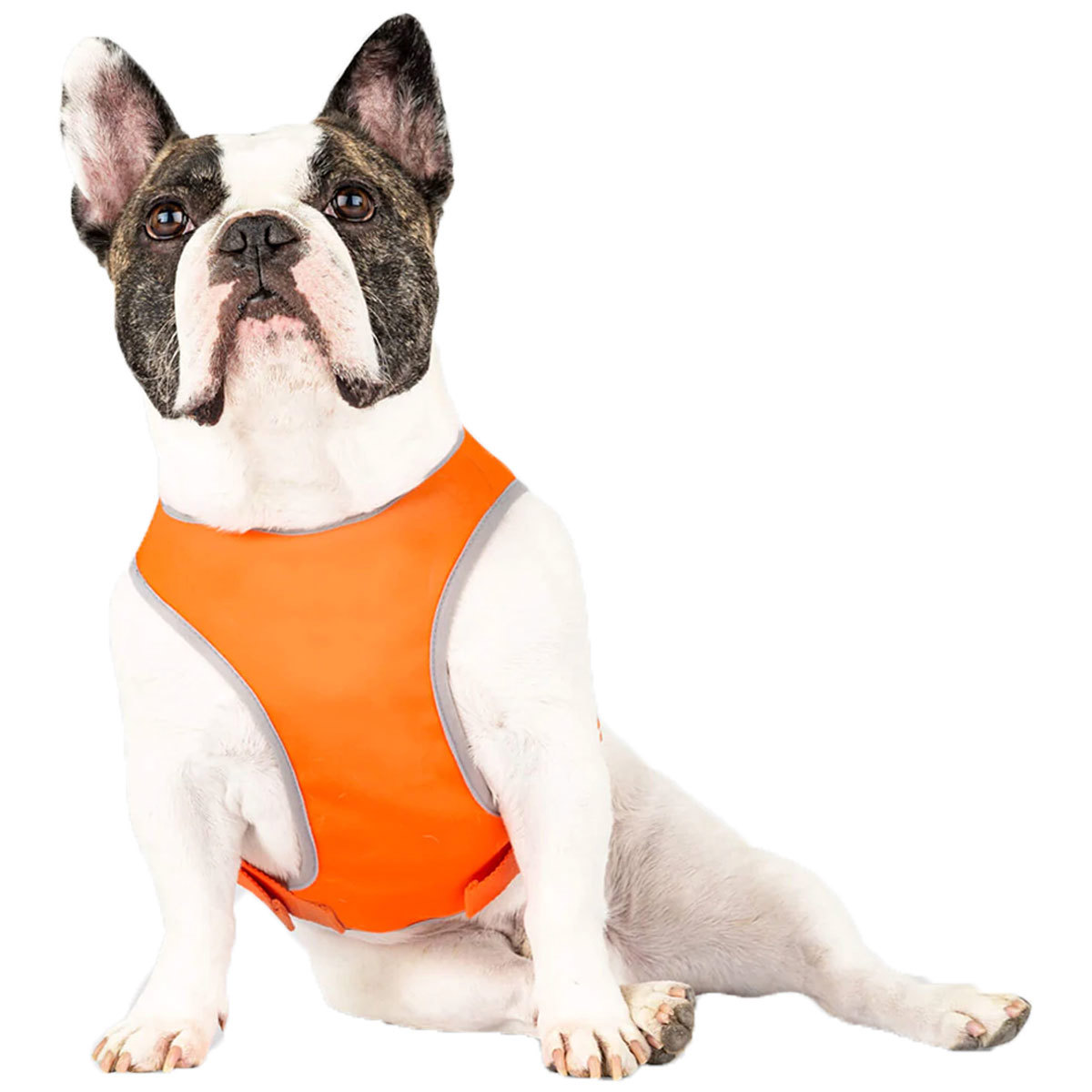 Canada Pooch - Gilet de sécurité réfléchissant haute visibilité | Orange – Image 2