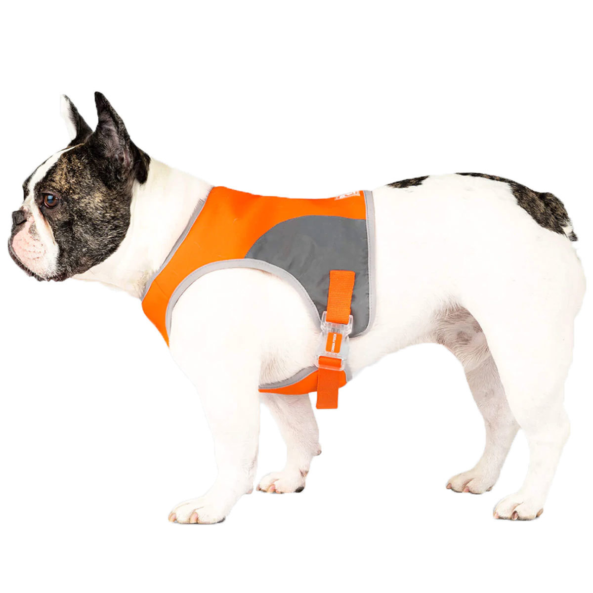 Canada Pooch - Gilet de sécurité réfléchissant haute visibilité | Orange – Image 3