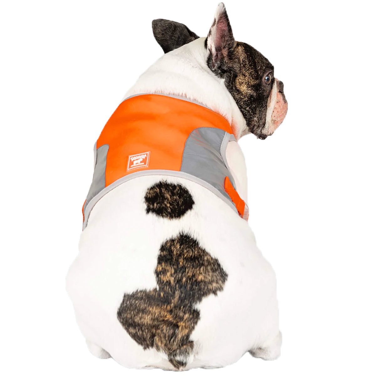 Canada Pooch - Gilet de sécurité réfléchissant haute visibilité | Orange – Image 4