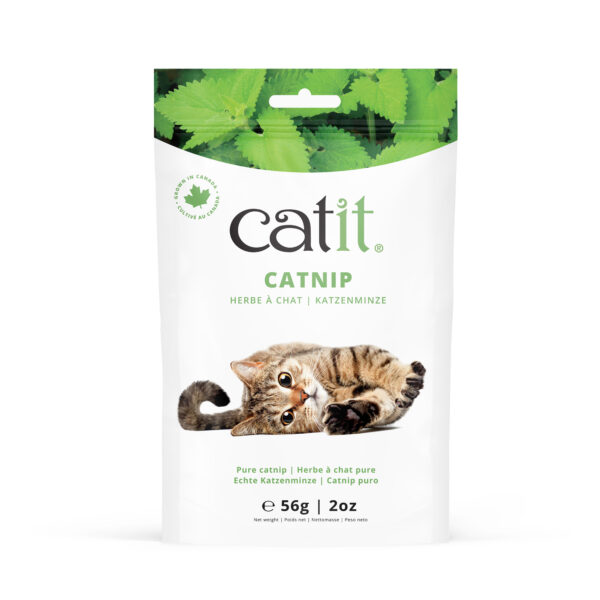 Catit - Herbe à chat | Sac de 56 g (2 oz)