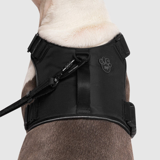 Canada Pooch - Harnais de contrôle complet | Chien