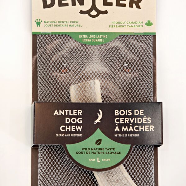 Dentler Bois De Cervidés Tranchés Nature Sauvage