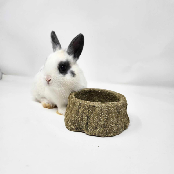 Les petits lapins d'amour - Bol en foin de fléole des prés compacté pour petits animaux