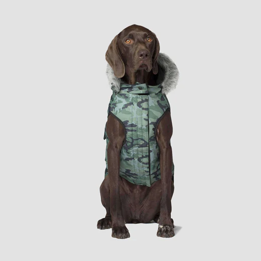 Canada Pooch - Everest Explorer - Veste Cargo résistante à l'eau pour chien | Camouflage vert – Image 3