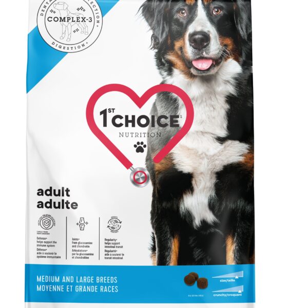 1st choice chien adulte moyenne & grande races poulet