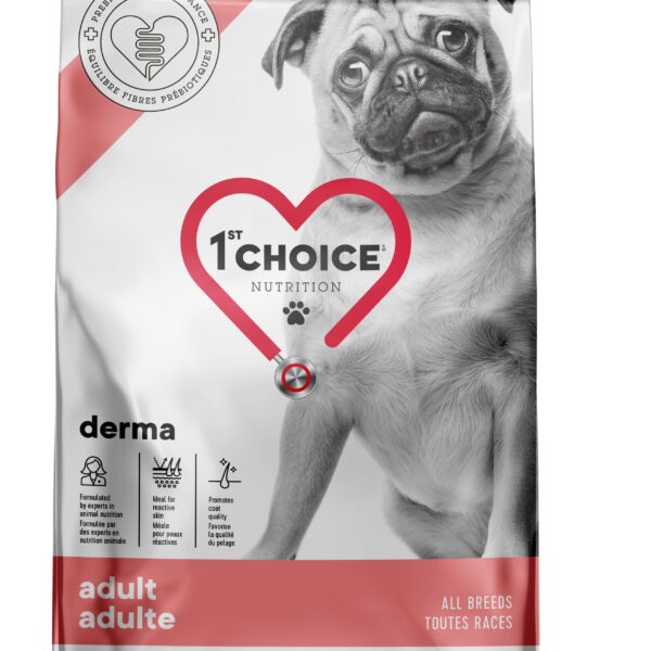 1st choice chien toute races derma saumon