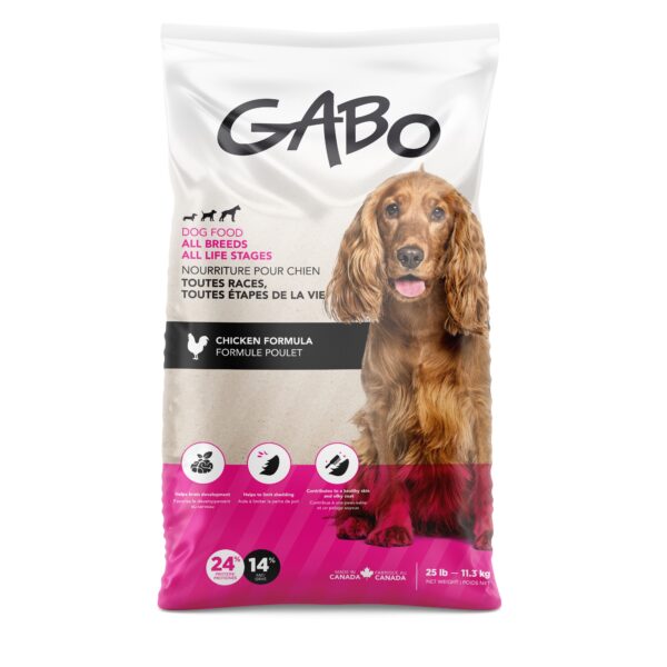 Gabo Chien & Chiot, Poulet