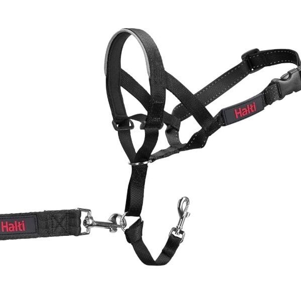 Halti - Licol pour chien | Noir