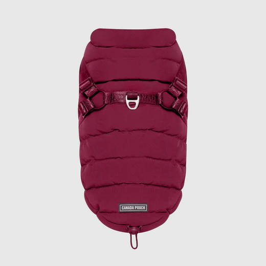 Canada Pooch - Manteau avec harnais - 2 en 1 | Plum