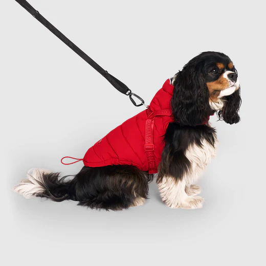 Canada Pooch - Manteau avec harnais - 2 en 1 | Rouge – Image 3