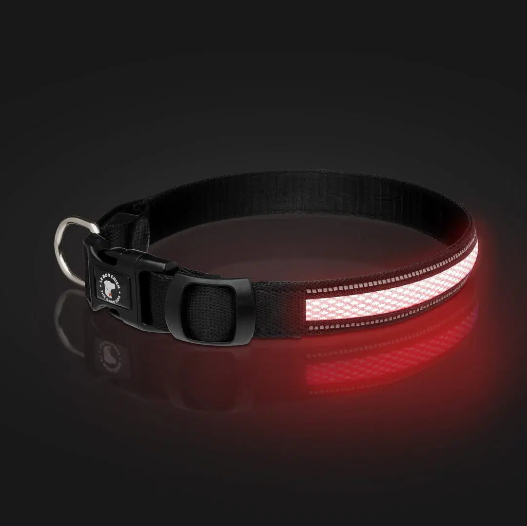 Le bon chien | Collier lumineux rechargeable ECLIPSE – Image 2