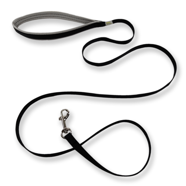 Petite Pistache - Laisse réfléchissante de nylon | Chien miniature - 5/16" x 5'