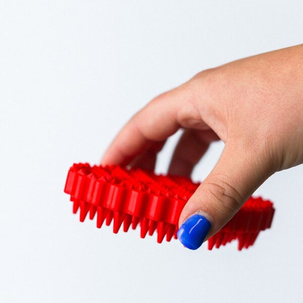 Les petits lapins d'amour - Brosse