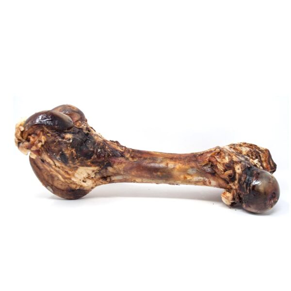 Bellerive - Fémur de boeuf 14-16''