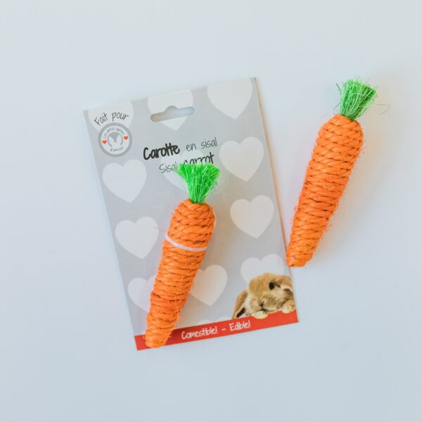 Les petits lapins d'amour - Carotte en sisal | Comestible