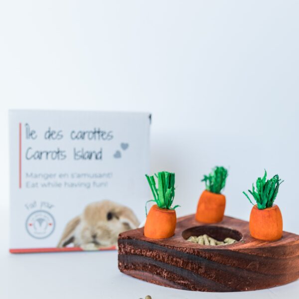 Les petits lapins d'amour - Île aux carottes