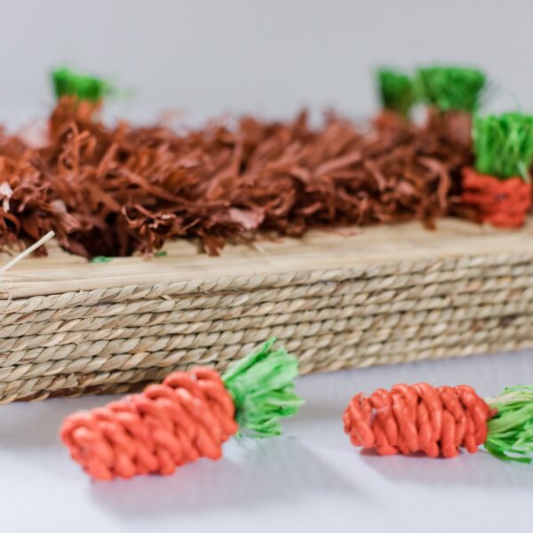 Les petits lapins d'amour - Jeu interractif pour petits animaux - Le jardin