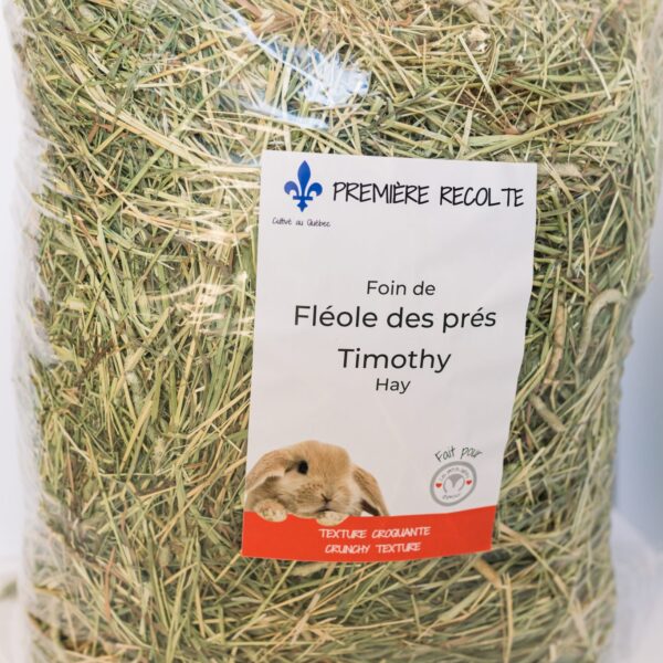 Les petits lapins d'amour | Foin de fléoles des prés Timothy