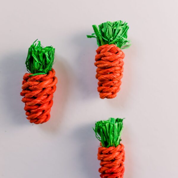 Les petits lapins d'amour - Carotte en sisal | Pqt de 6
