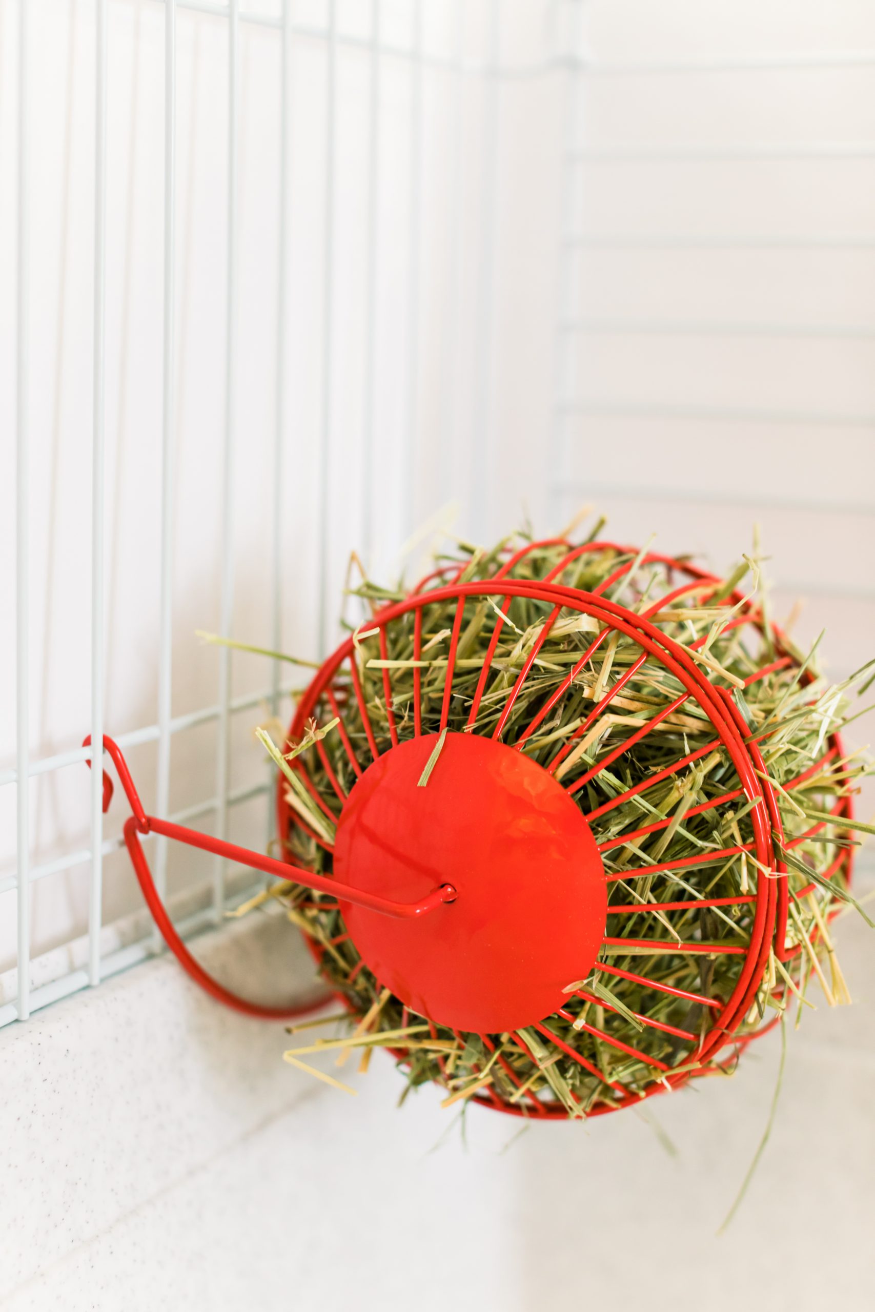 Les petits lapins d'amour - Roulette à foin – Image 3