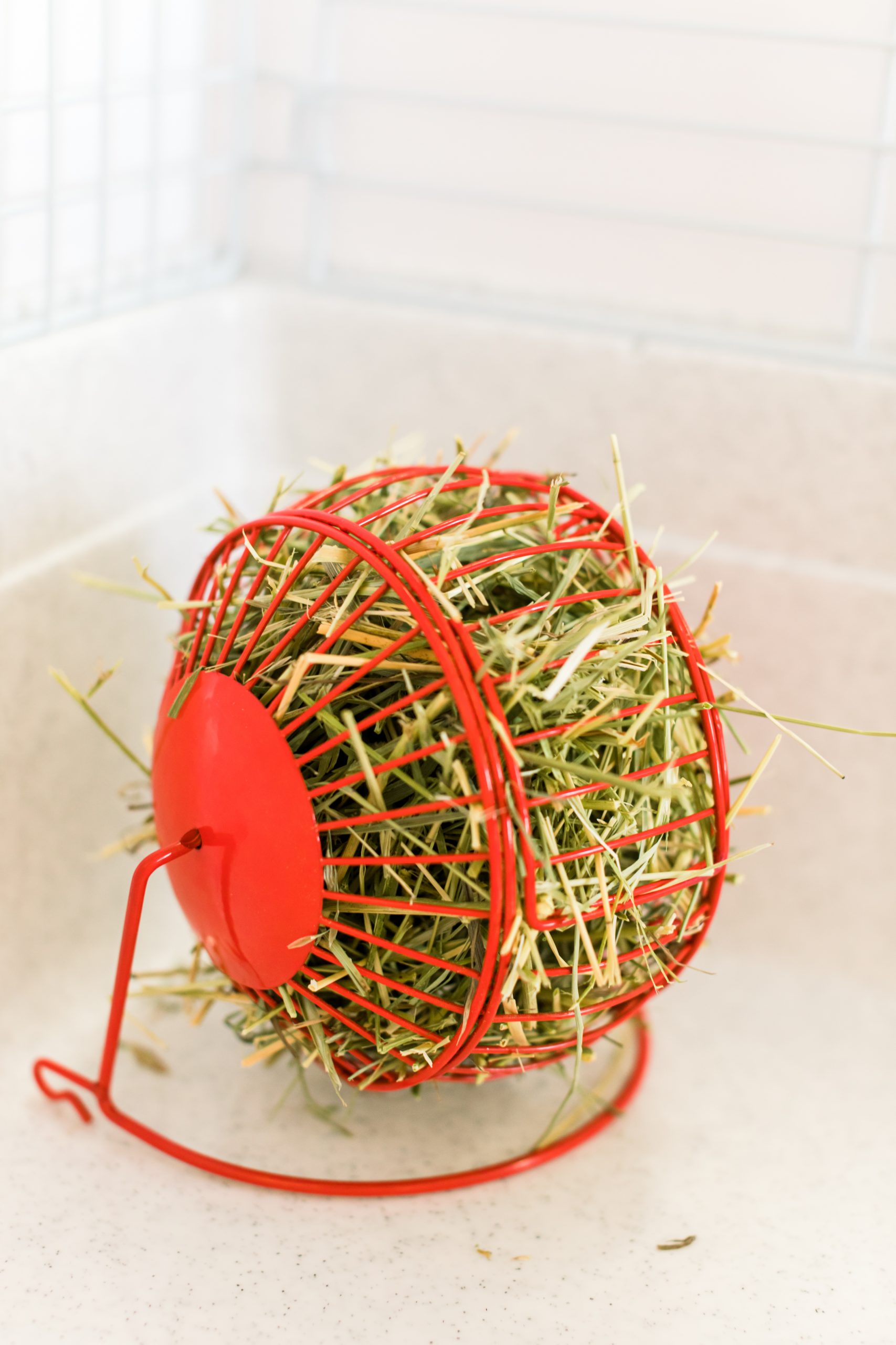 Les petits lapins d'amour - Roulette à foin – Image 2