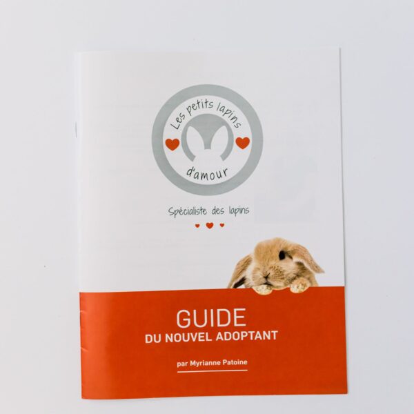 Les petits lapins d'amour - Guide du nouvel adoptant