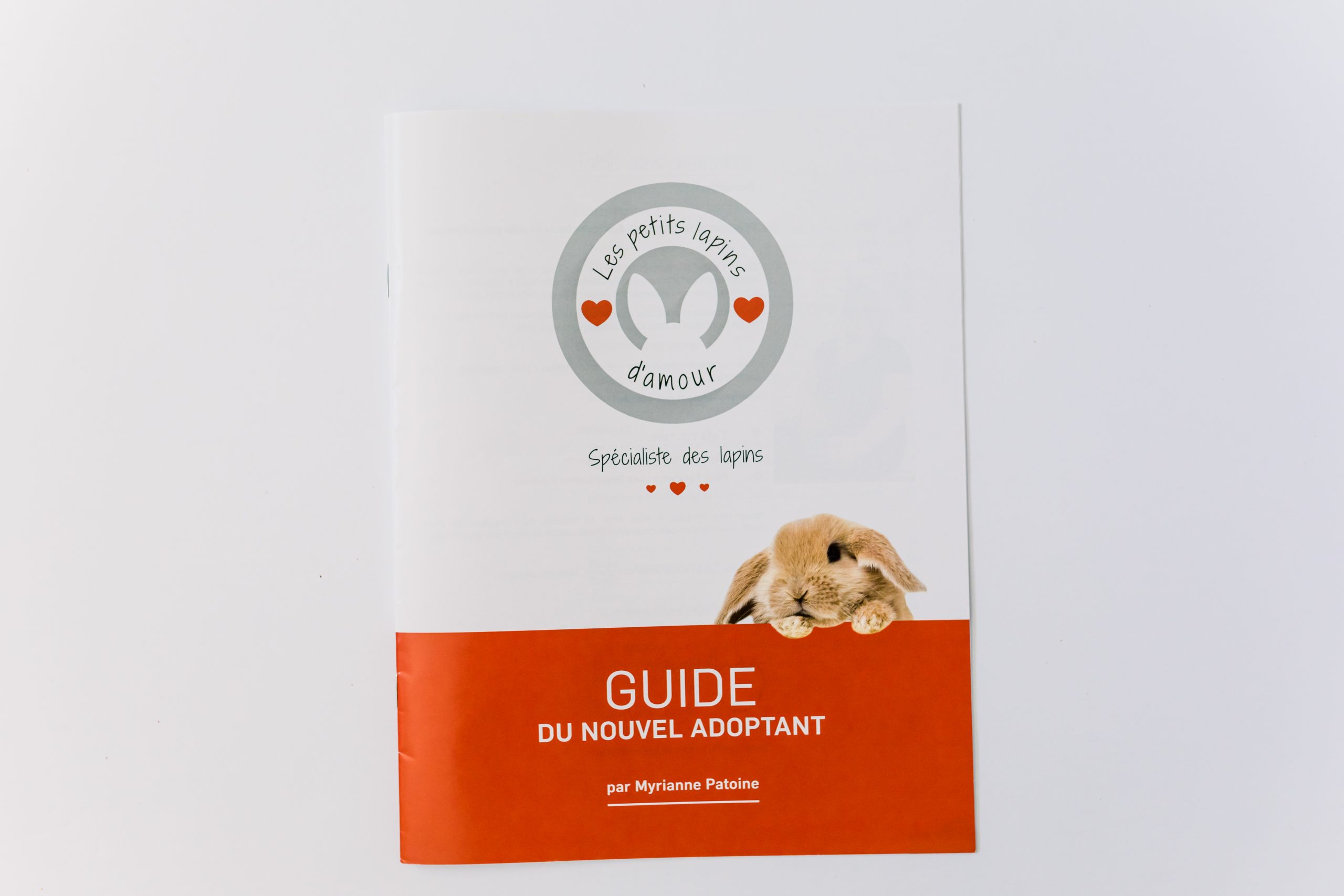 Les petits lapins d'amour - Guide du nouvel adoptant