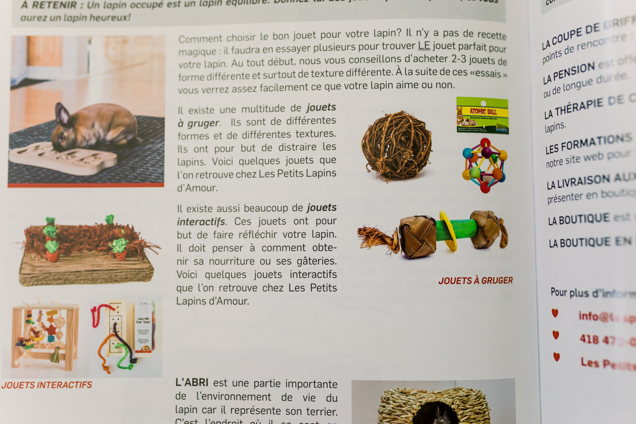 Les petits lapins d'amour - Guide du nouvel adoptant – Image 2