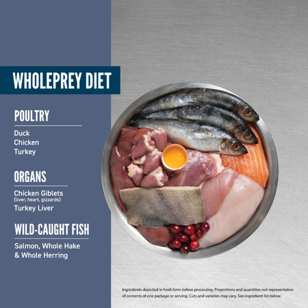 ORIJEN Guardian 8 pour chat âgé – Image 2