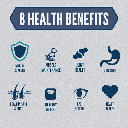 ORIJEN Guardian 8 pour chat âgé – Image 3