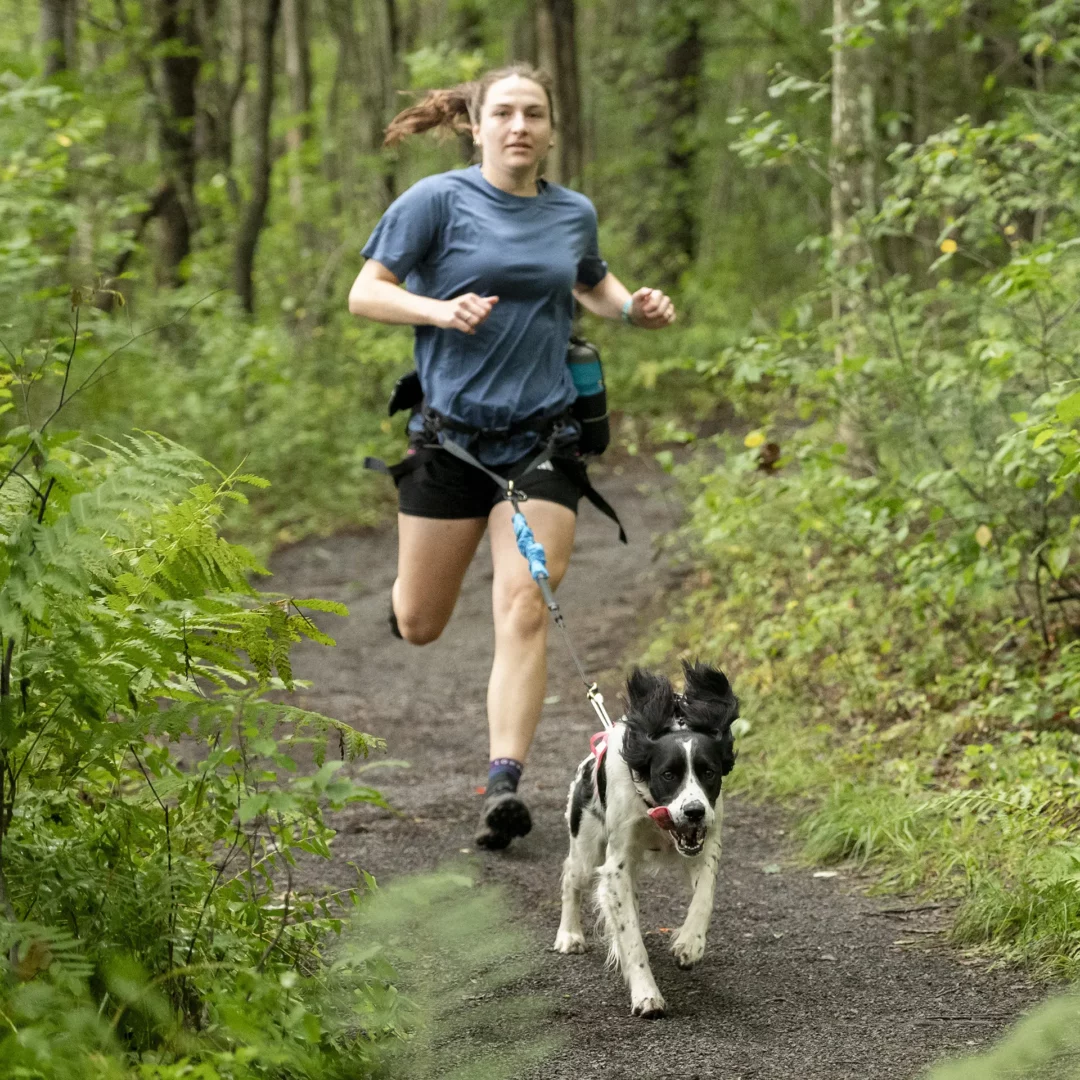 Nahak - Ligne bungee multisport | Corde réfléchissante - Mousqueton 5/8" – Image 9