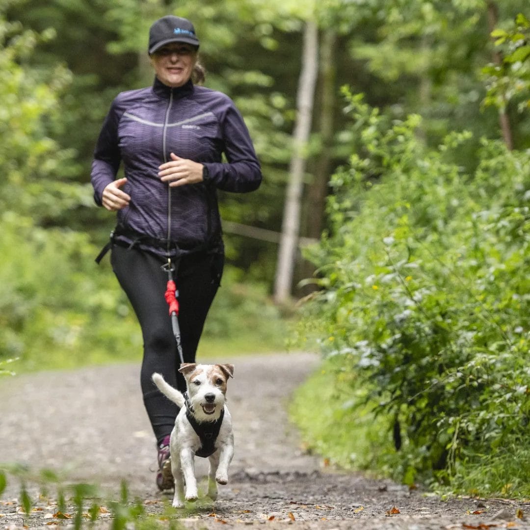 Nahak - Ligne bungee multisport | Corde réfléchissante - Mousqueton 5/8" – Image 7