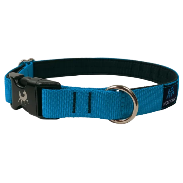 Nahak - Collier pour chien | Rembourré avec clip - Régulier