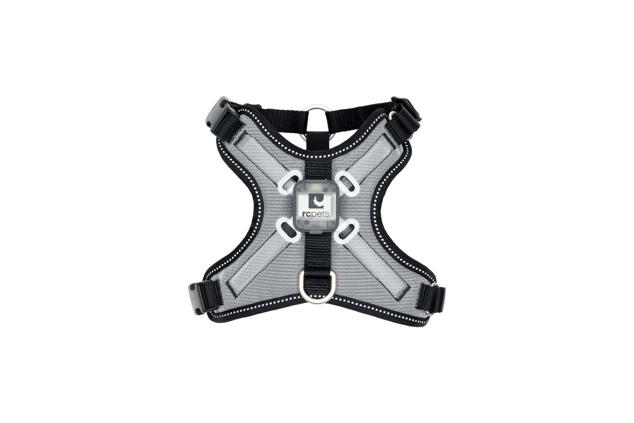 Rc Pets - Harnais Lumineux | Ajustable à 4 points | 4 options de couleur – Image 3