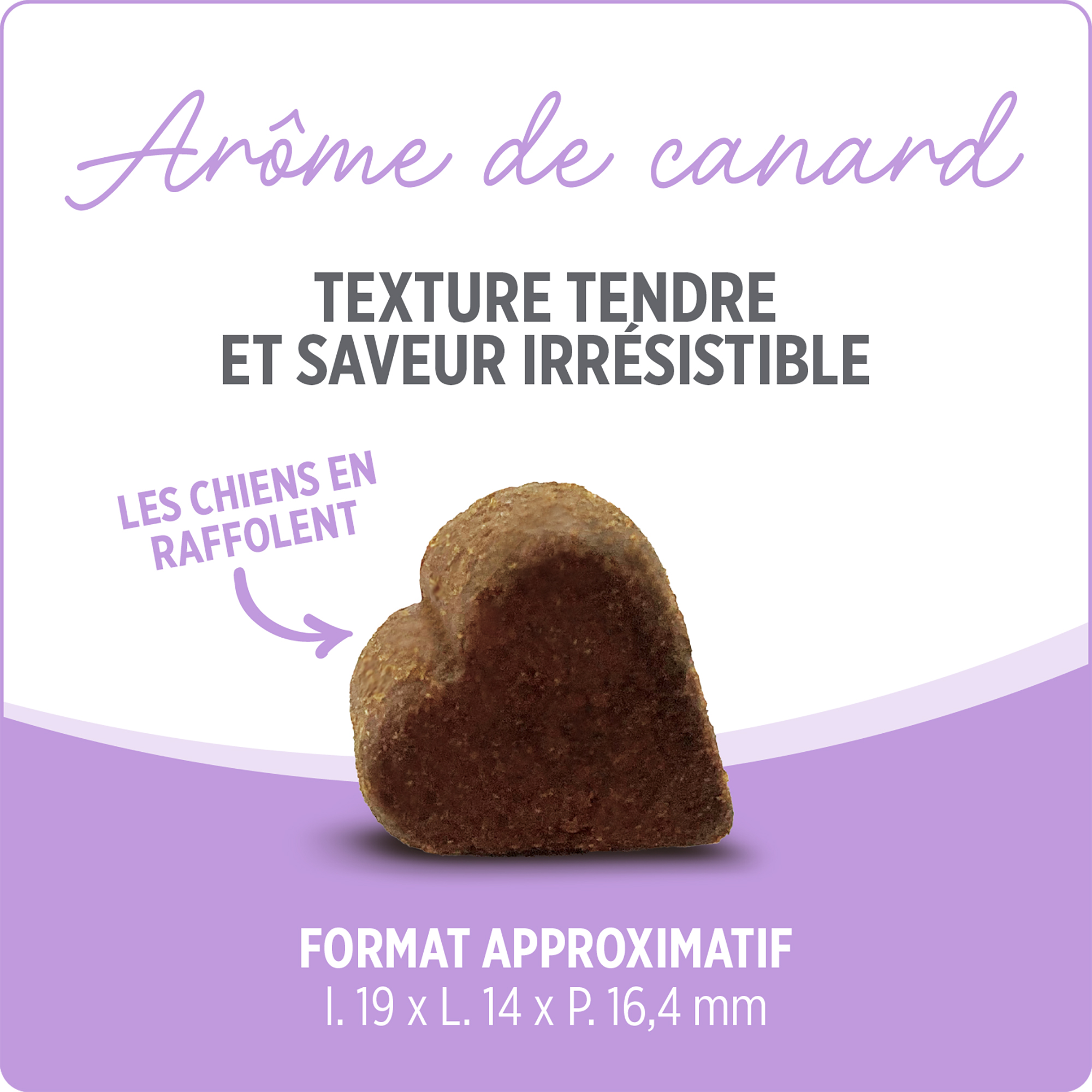 Nutrience Care+ | Supplément Hanches et articulations pour chien - Canard 400g – Image 4