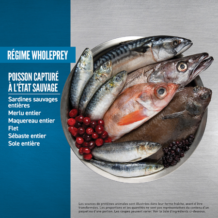 ORIJEN Six fish pour chien – Image 2