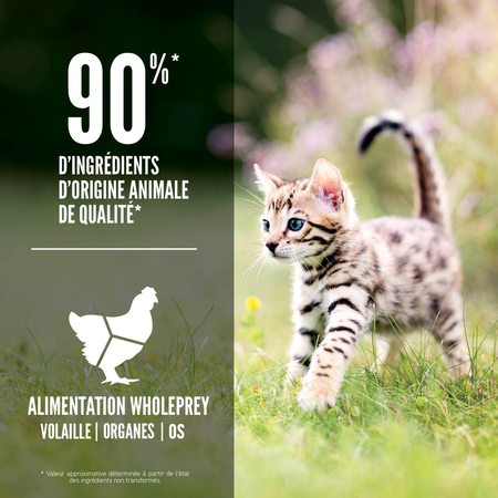 ORIJEN pour chaton 1.8kg (4lbs) – Image 2